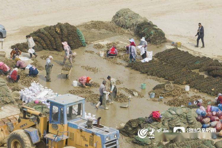 视觉山东丨群众视觉影像库一周图片精选（3月13日-3月19日）