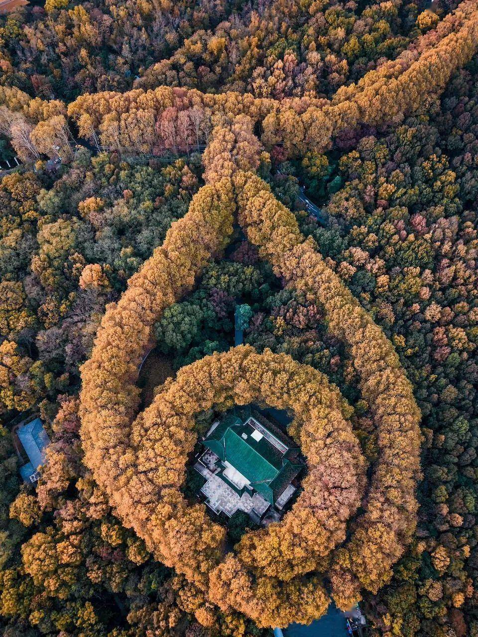 保藏！11月旅游地保举！错峰出游，那些处所已经美成仙境！