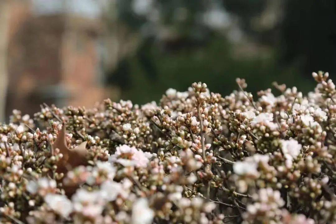 此次，我回绝了给舍友带饭……