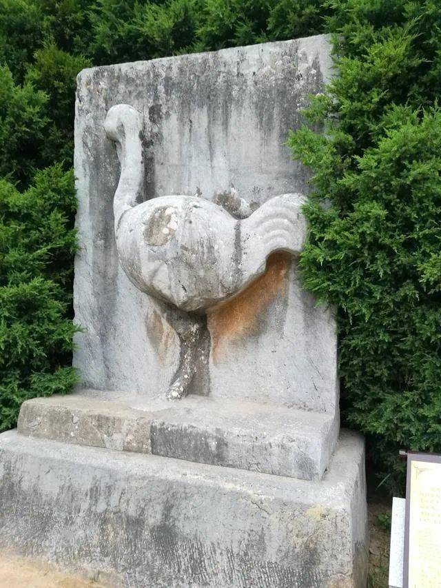 ���Ķ���������������Ǭ��