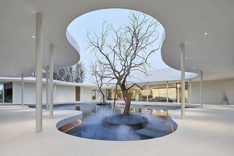 ������ѧ���ý������ڵ��߼���