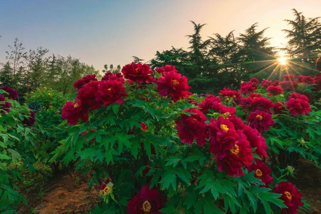 �й���һ�Ʋ���5A������Ƿծ4���ڣ���Ʊ���Ǽۣ���Ȫˮֻ ...