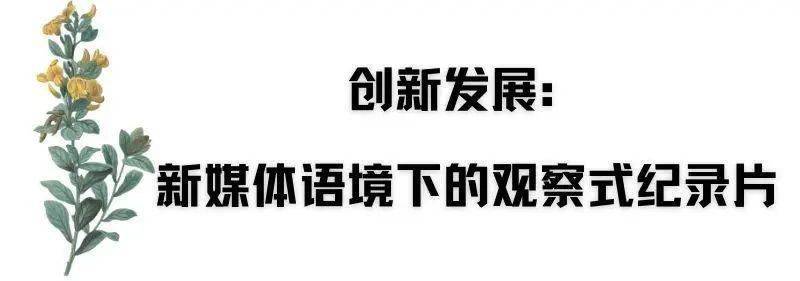 ���쿴��֮�⣺�й��쿴ʽ��¼Ƭ������ת���봴����չ