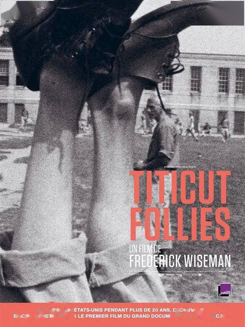 ���쿴��֮�⣺�й��쿴ʽ��¼Ƭ������ת���봴����չ