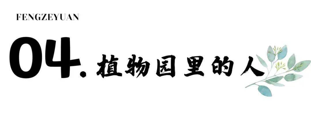 昆明“唤”新方案 | 来云南丰泽源动物园相逢梦幻莫奈花园