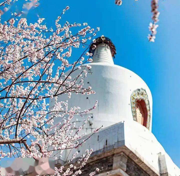 ���չ��ԣ�ʲô����˵TA ���һ����ۣ�