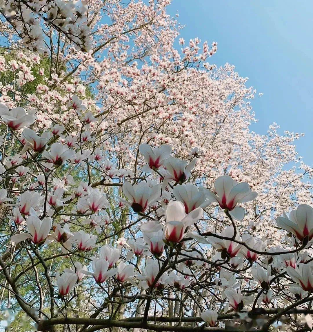 ���չ��ԣ�ʲô����˵TA ���һ����ۣ�