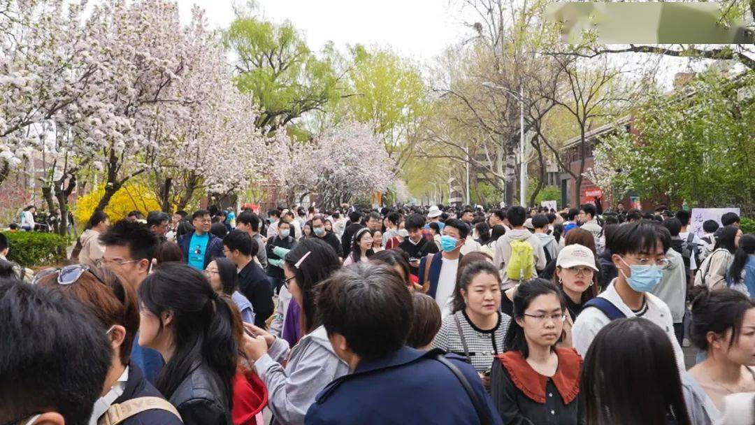 繁花与共！那场8万人共赴的天大海棠之约末于比及你！