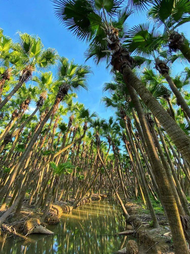 �����ˡ������塿ɳ̲����������,��̲��ʯ����Ϸ,������Ϸˮ,��÷�Ҵ�Ժ,...