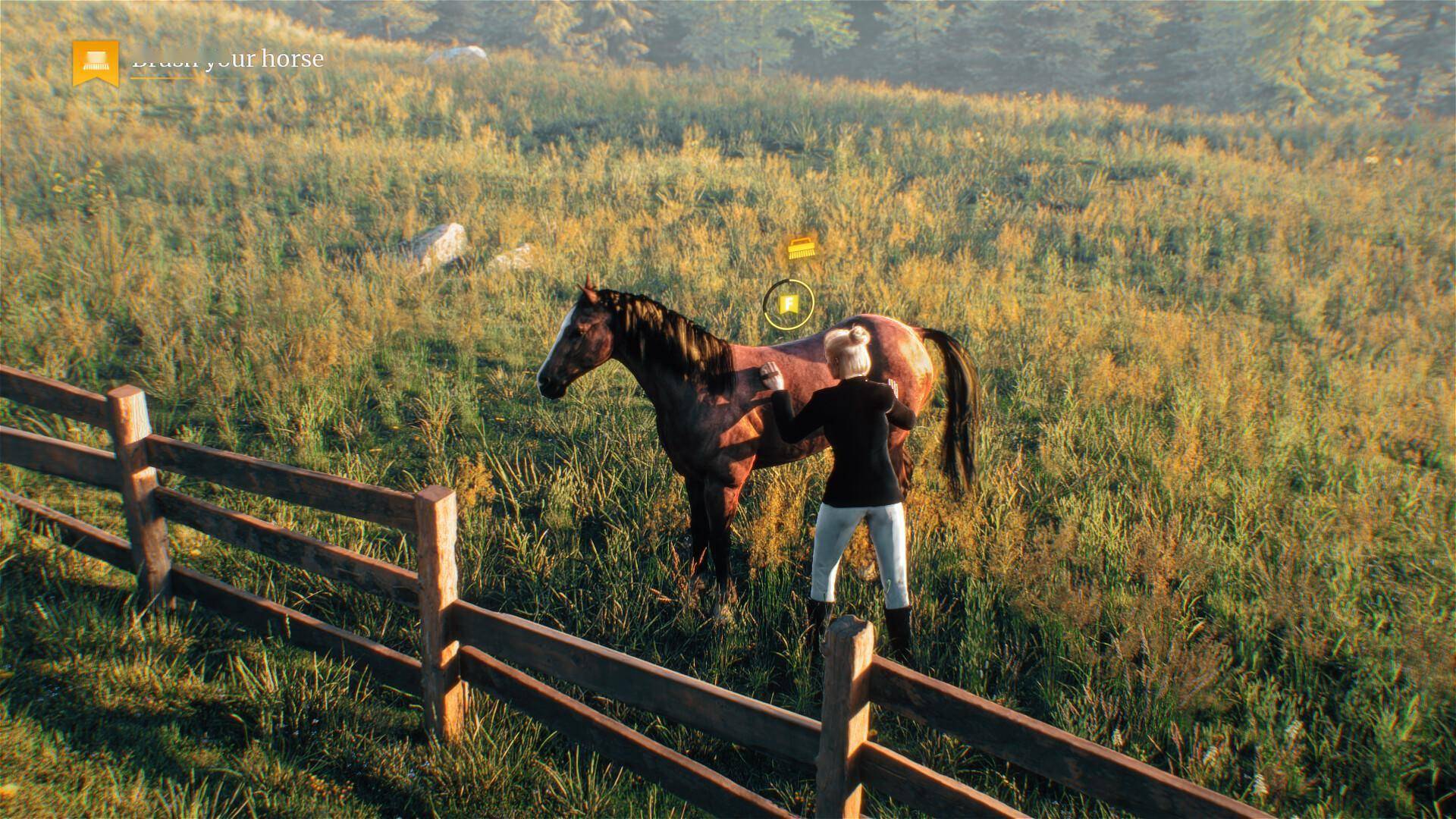 爱马士狂喜 模仿运营游戏《My Horse: Bonded Spirits》Steam页面上线