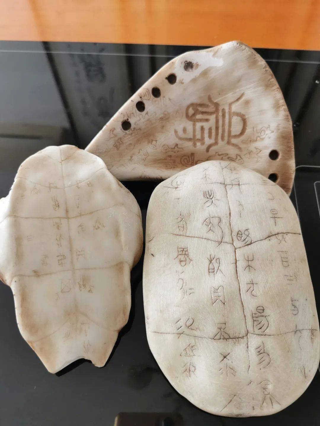 老师带来几片甲骨,上面有依稀可辨的甲骨文字,让读者对甲骨文有个更生