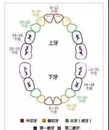 环球360注册二十四个母婴常识全干货快收藏起来(图4)