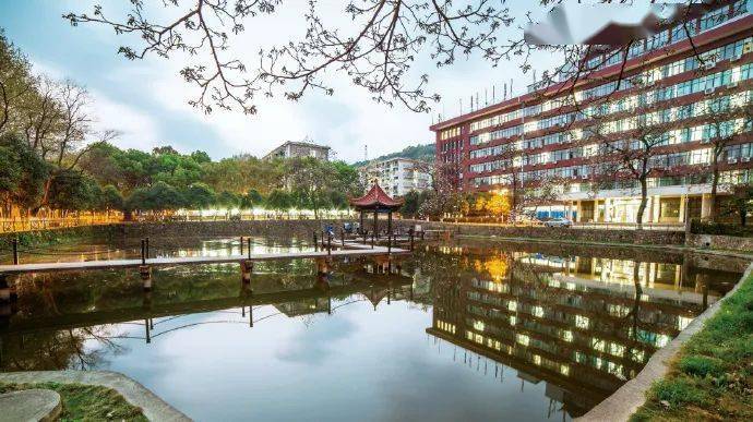 文章配图-7