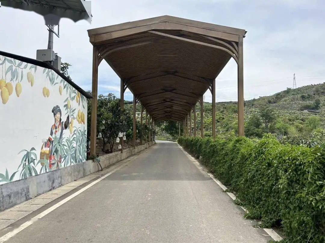 攀西芒果产业发源地 崛起了一座“吃阳光饭”的“零碳村”(图7)