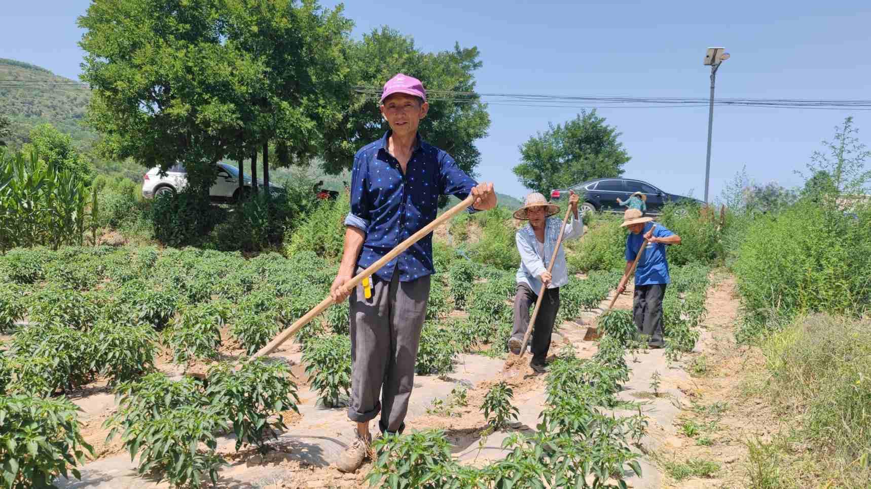 湘乐镇：抗旱保民生促增收（保民生促民生惠民生）湘乐小镇电话号码，