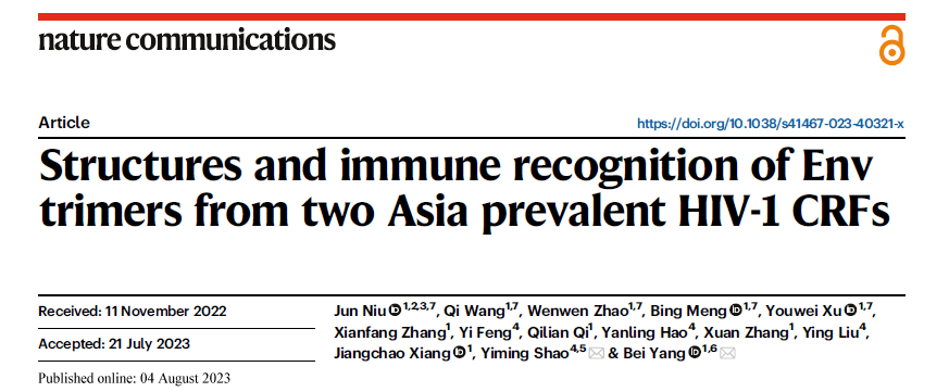 Nat Commun丨杨贝课题组与合作者揭示HIV 1流行重组亚型的Env蛋白结构与免疫识别特征 抗体