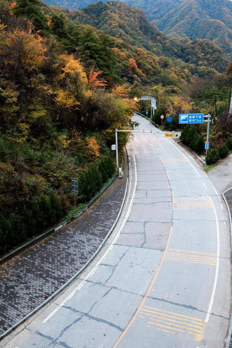 驾行秦岭天路 饱览多彩秋色