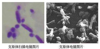 文章配图-4