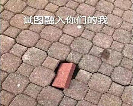 文章配图-14