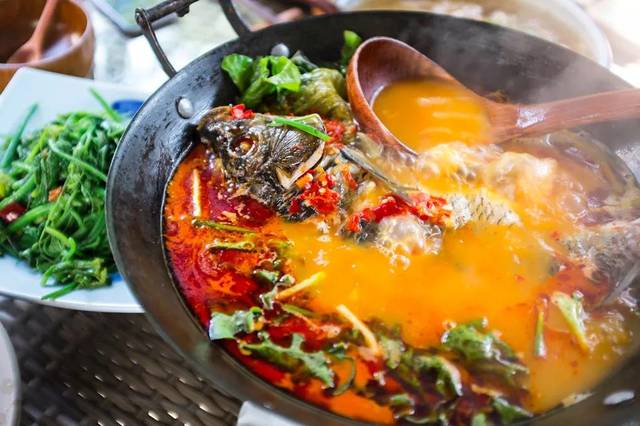 酸汤鱼是苗族的传统美食,需要去稻田里捕捉最新鲜的稻花鱼,经过很