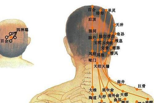 黄梅龙古法经络头部穴位讲解