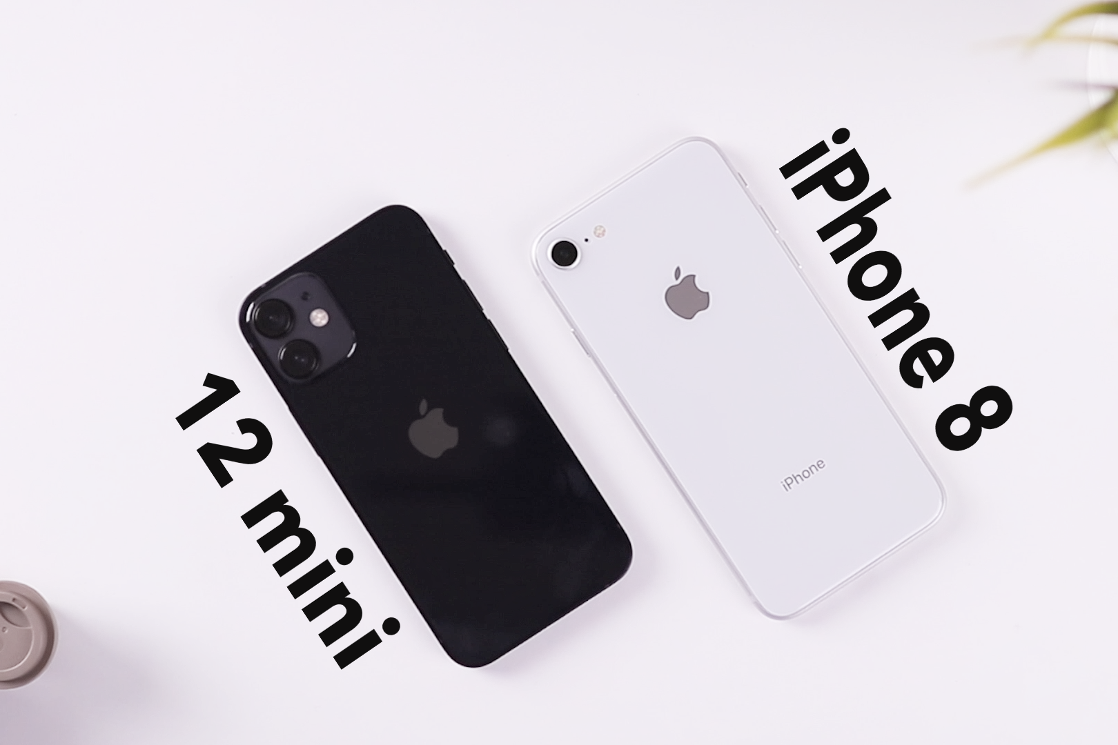 iphone12 mini对比三年前的iphone8:苹果不讲武德啊!-频道-手机搜狐