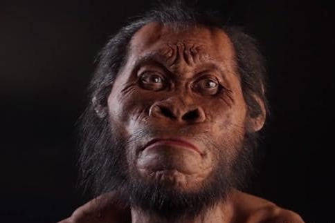 现代人类并非自然进化而来,而是从智人就被干预了进化过程?