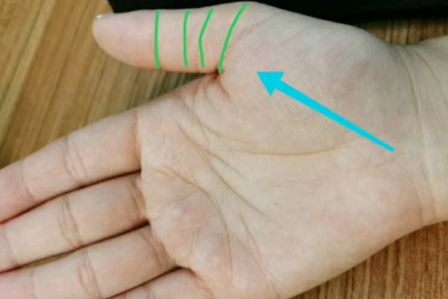 大拇指四节纹贵人运势极旺