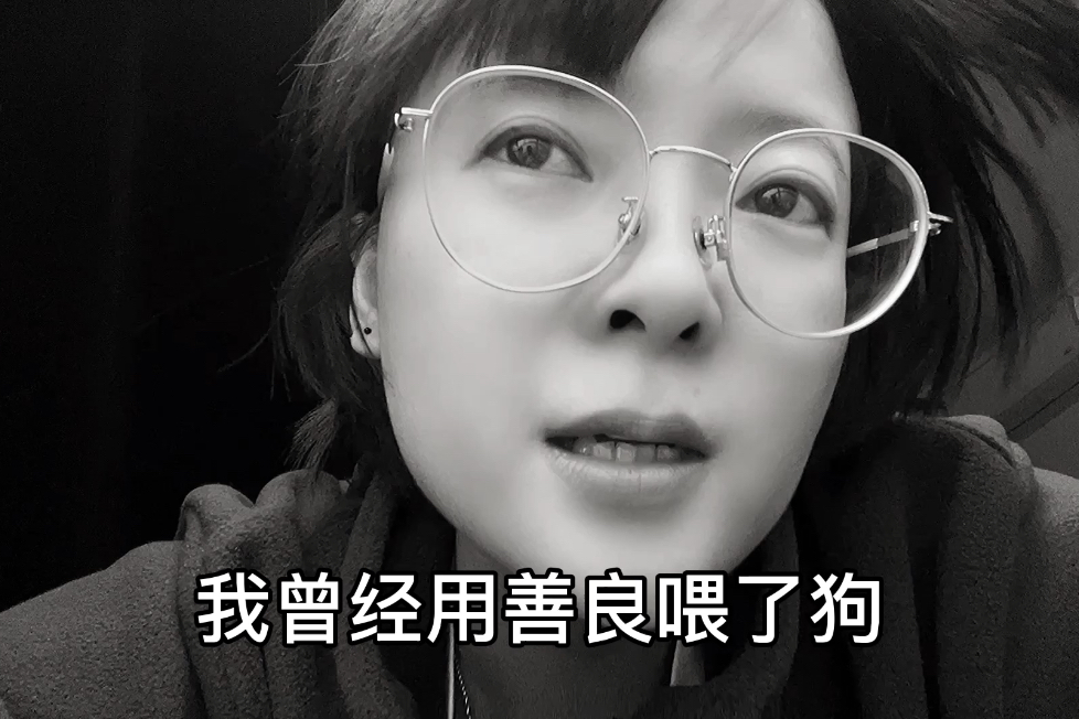 我曾经用善良喂了狗