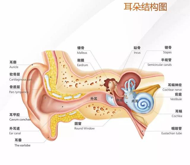 haizhisheng東大街