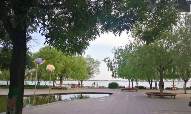 【东河一景】看山看水?看南海!