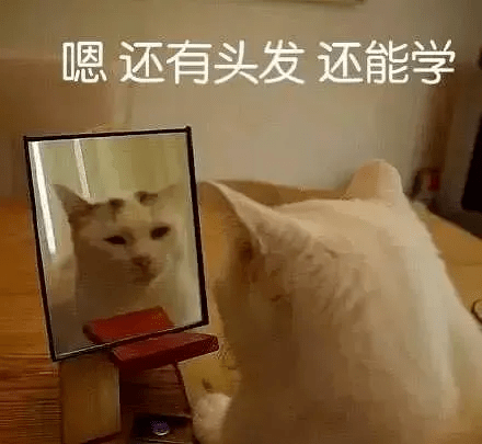 d6b1d882a7104305a249947979384c6e.png