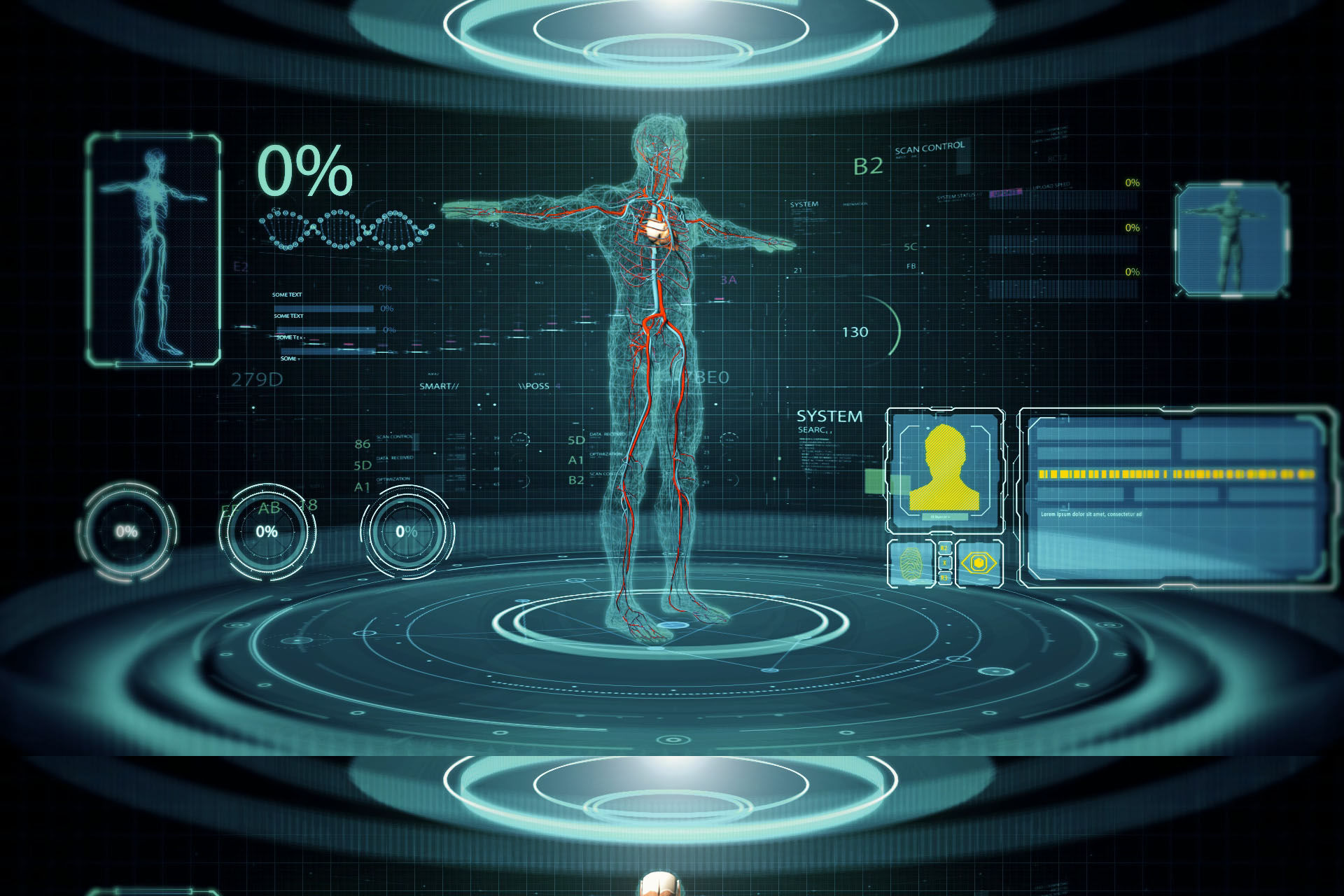 高科技展示人体器官系统