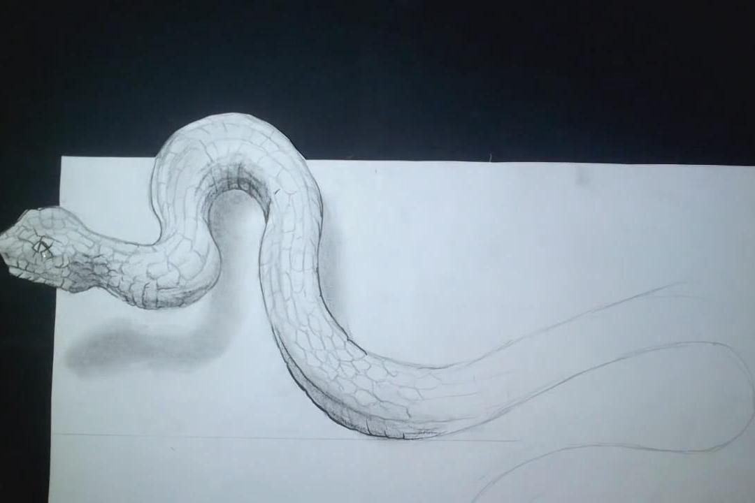 3d错觉艺术绘画:绘画在纸上的蛇,乍一看吓一跳!