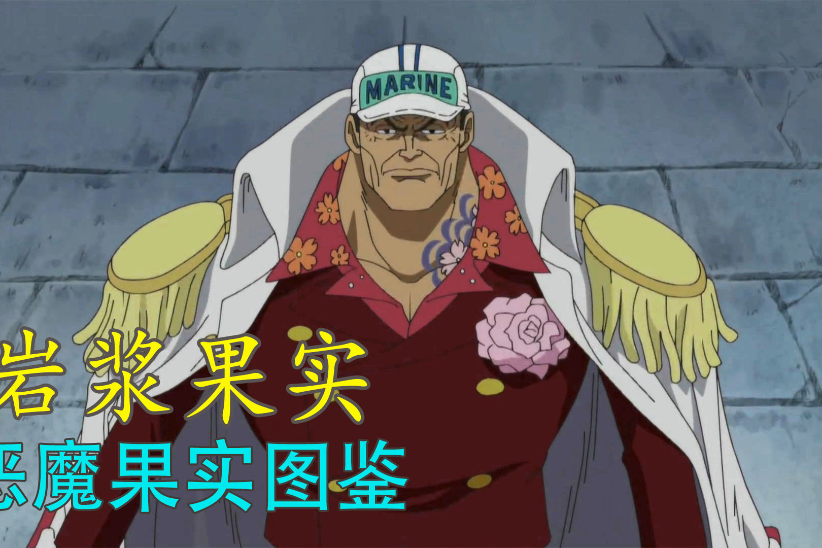 恶魔果实图鉴4自然系岩浆果实号称最强攻击力的大将赤犬