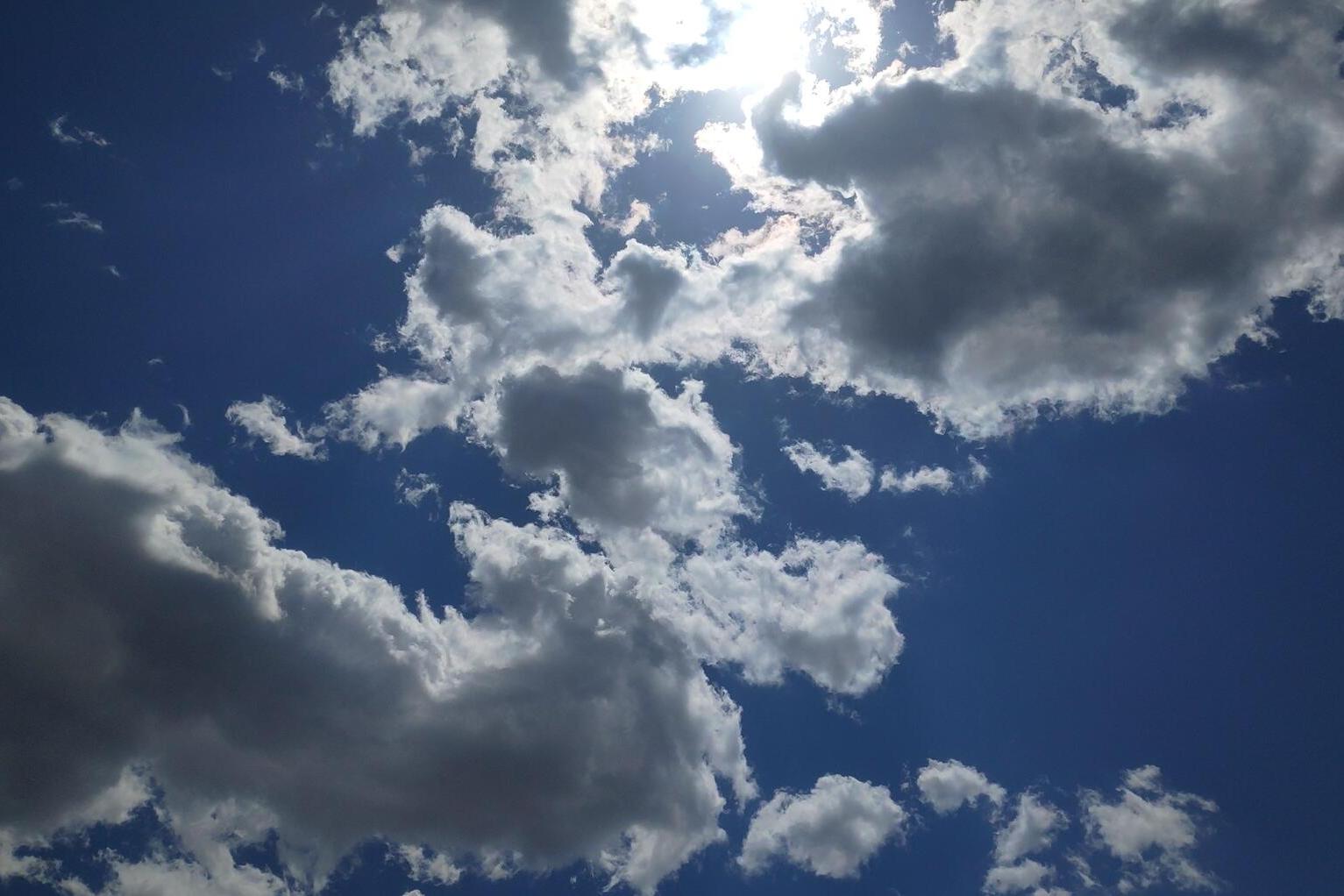 天空流云的静与周围草丛的动每天5s视频记录人生