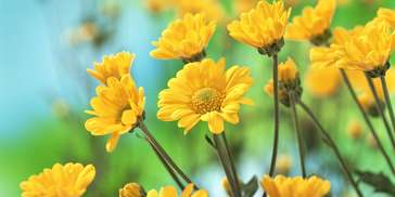 再等1周，四大生肖坐拥千万存款，大吉大利，财运回升