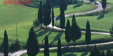 普洱生茶到底是不是普洱茶