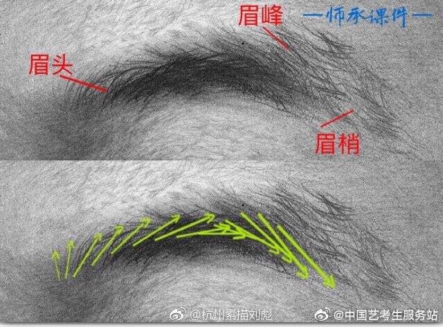 嘴巴、眉弓和眉毛结合头骨师承 素描刘彪 -搜狐大视野-搜狐新闻