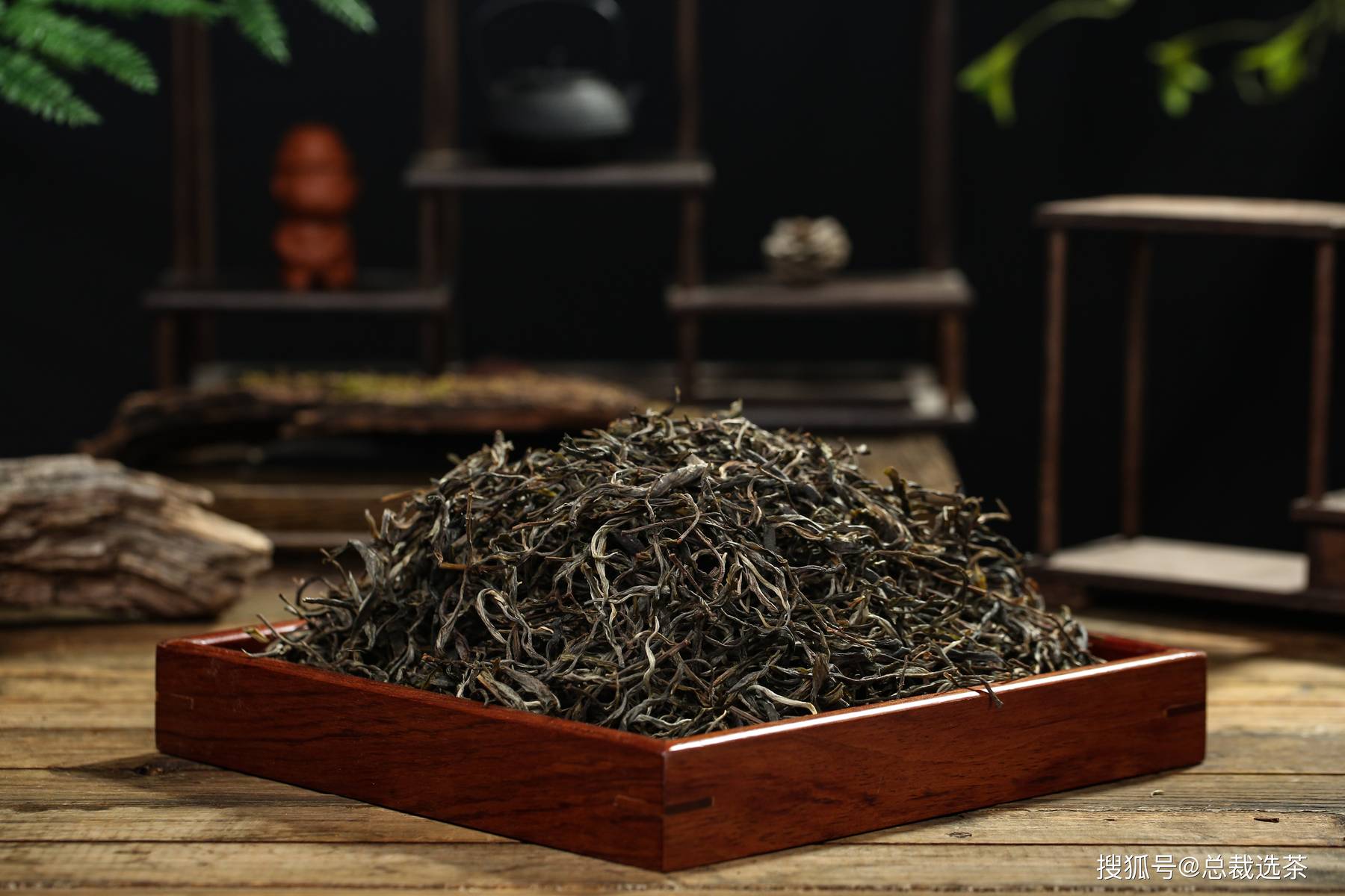 蟒蛇箐普洱茶隐士