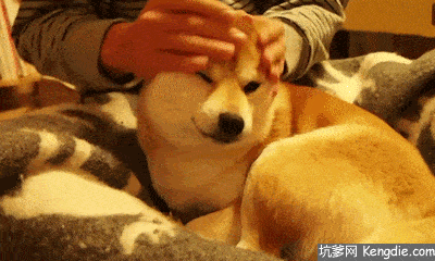 400_240gif 动态图 动图