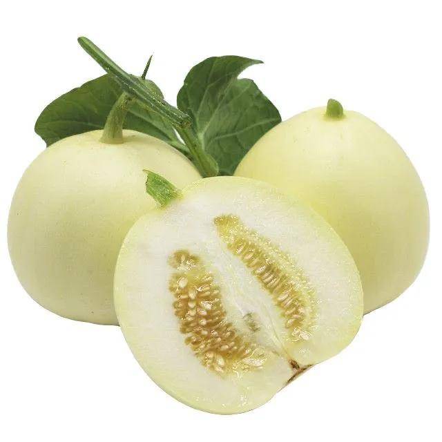 拒绝烦躁这些宝藏好物激发你的鲜活正能量