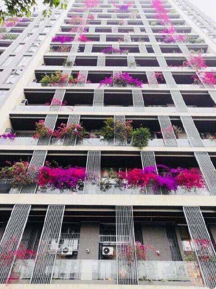 据了解,这面花墙是优品道曦岸小区的住户楼,被网友