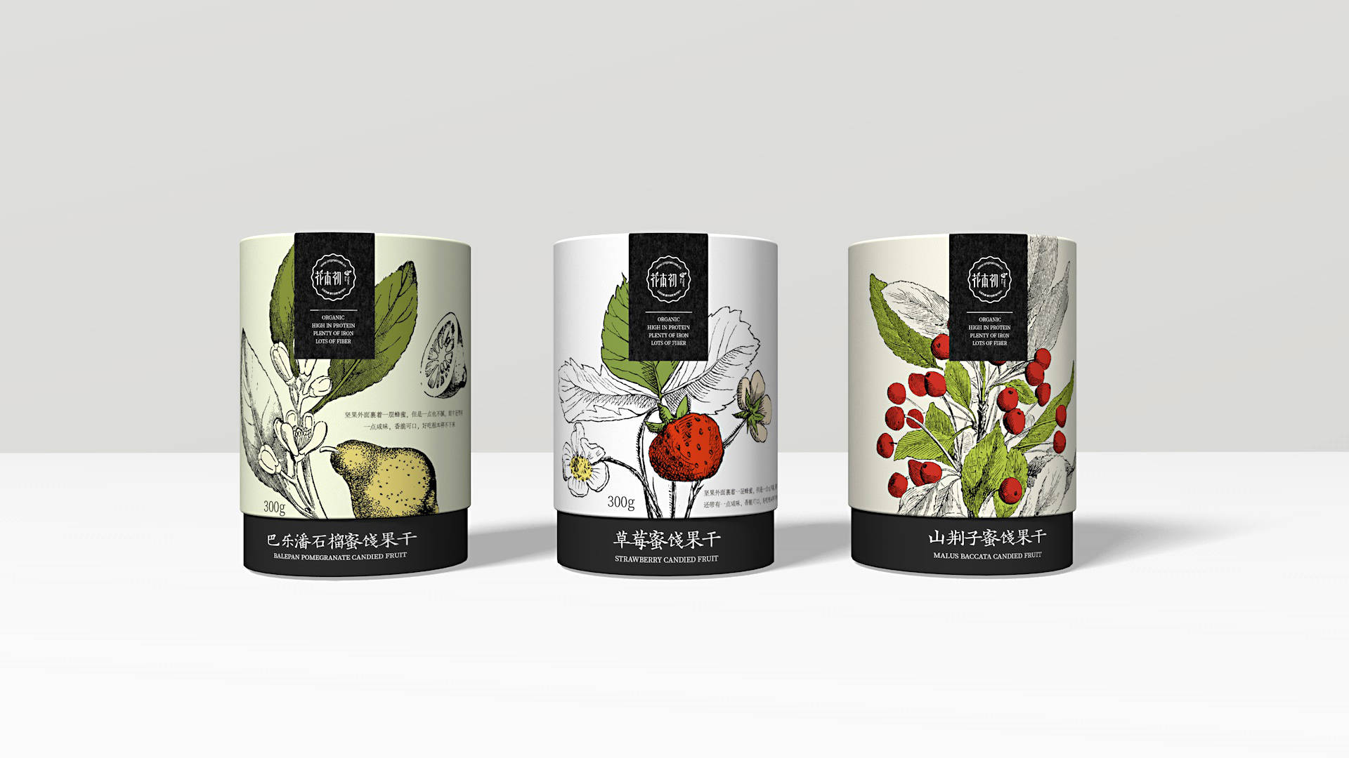 蜜饯果包装设计