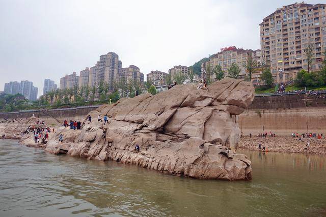 见者幸运万年乌龟石现真身成重庆新晋网红景点