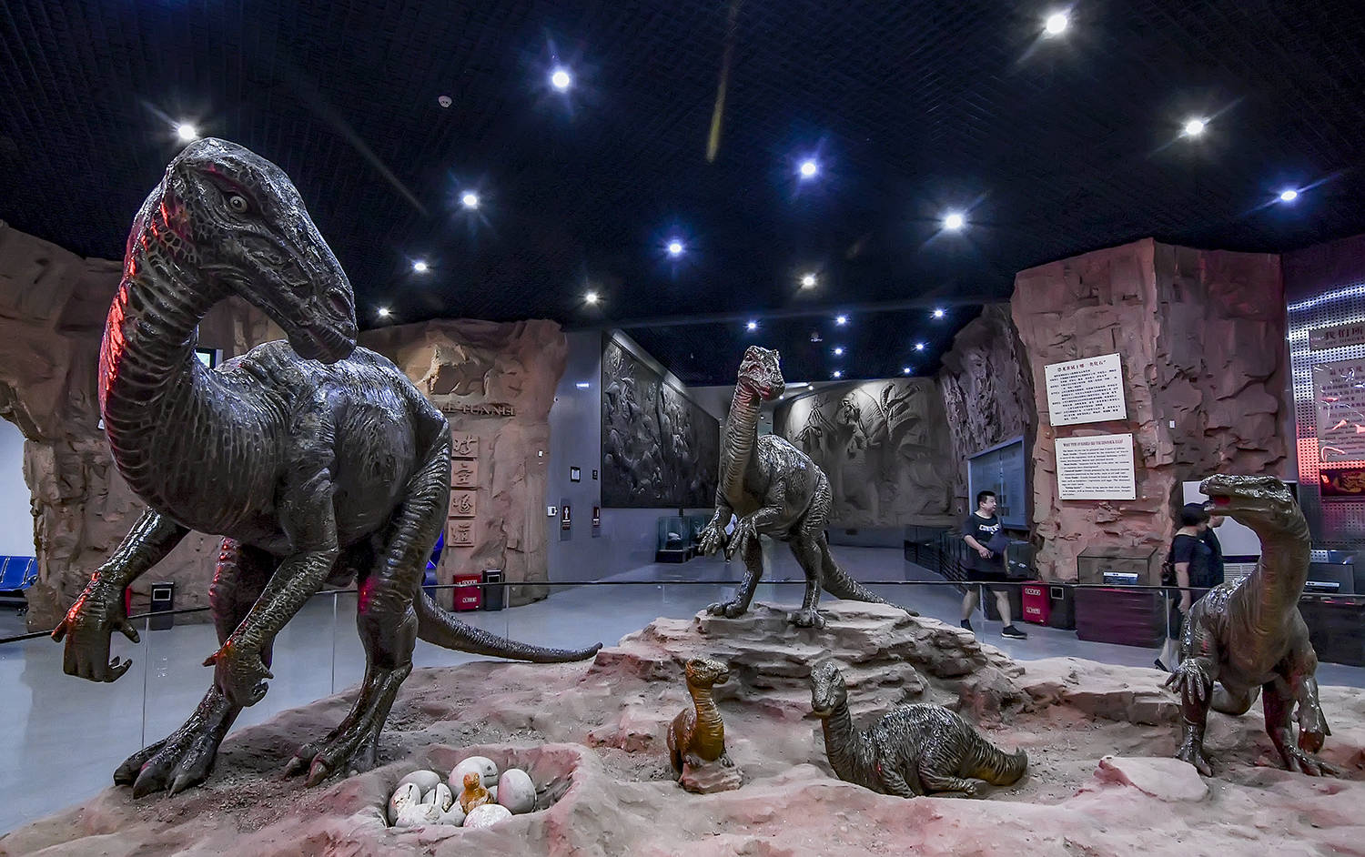 探秘中国的侏罗纪公园,亿万年前恐龙宝宝的出生地,竟隐藏在这