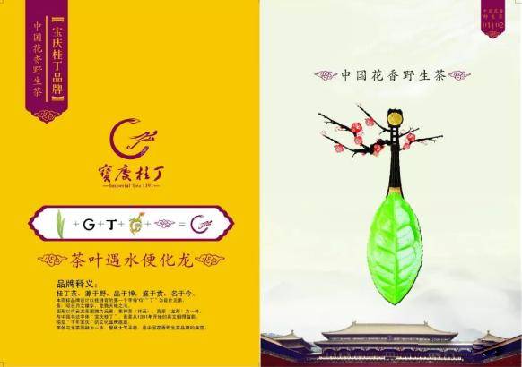 攀白云岩拜妙音寺品桂丁茶练梅山功新邵这地方值得一游