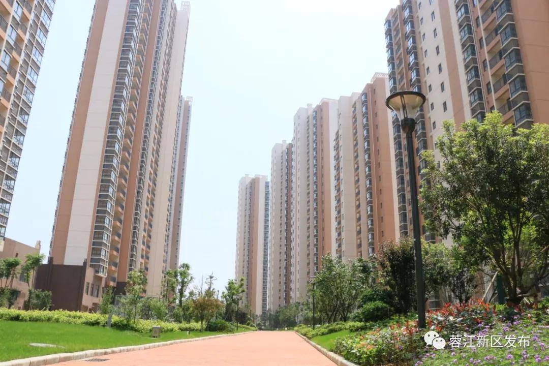 蓉江新区三年大变样城市规划篇