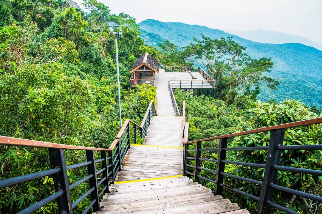 离海洋最近的森林公园,位于海南三亚,葛优舒淇李现都来过