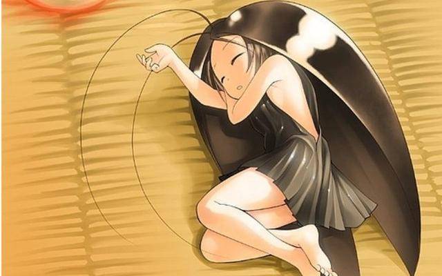 回忆那些年,我养蟑螂的日子